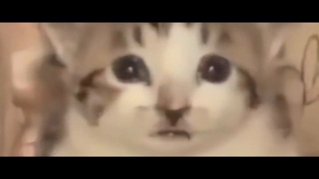 Как я начала заниматься 3D графикой #3DStart @JohnCenterStudio смотреть онлайн