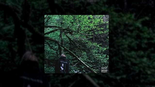 PHARAOH — PHOSPHOR (2016) смотреть онлайн