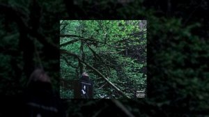 PHARAOH — PHOSPHOR (2016)