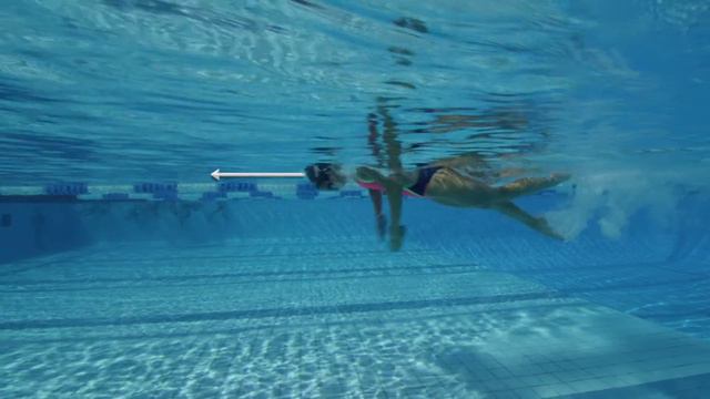 Tutos d'Alain Bernard pour Aqualung - 4ème vidéo pour réapprendre à nager intelligemment ! Partie 4 смотреть онлайн