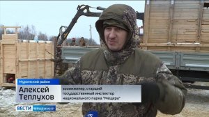 Зубры из Муромского  заказника "переедут" в Мордовию