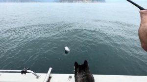 Морская рыбалка на Камчатке.