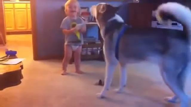 Малыш хочет поиграть ,а у собаки явно нет настроения.baby and dog. смотреть онлайн