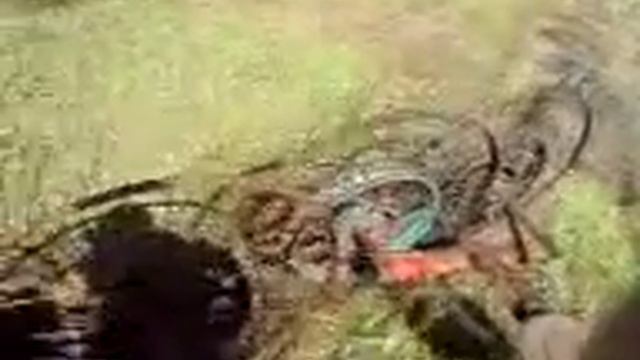 TY-180 и грабли смотреть онлайн