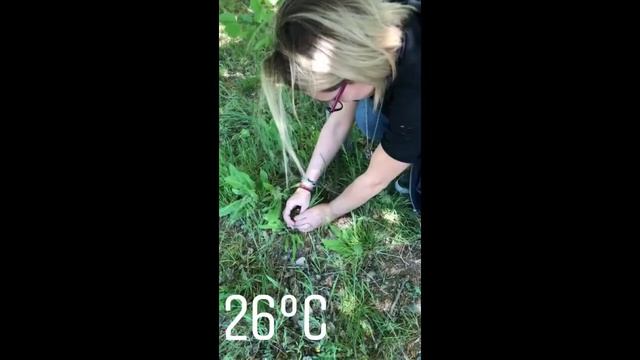 DJ Солнце в г. Невинномысск смотреть онлайн