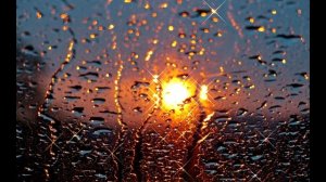 Сергей Чекалин Дождь и солнце