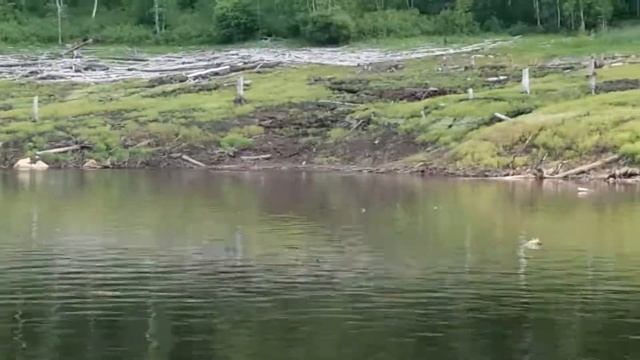 ТАЛАКАН. Сузуки 5 и Ямаха 3 и красивые виды Талаканки. смотреть онлайн