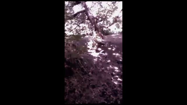 куда пропала вода из бутылочки 1 часть #mrbeast #бутылочка смотреть онлайн