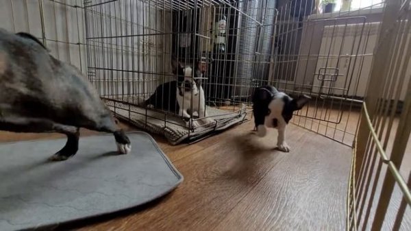 8 апреля 2022 г.