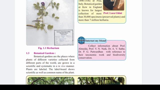 Maharashtra board chapter 1 Biology Standard 11| Living World #maharashtraboard #Maharastra HSC смотреть онлайн