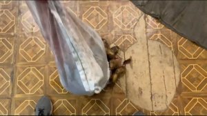 ПЕСНЯ ПРО СТАСА АСКЕТА