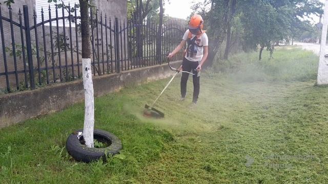 FIR MOTOCOASA STIHL CF 3 PRO! смотреть онлайн