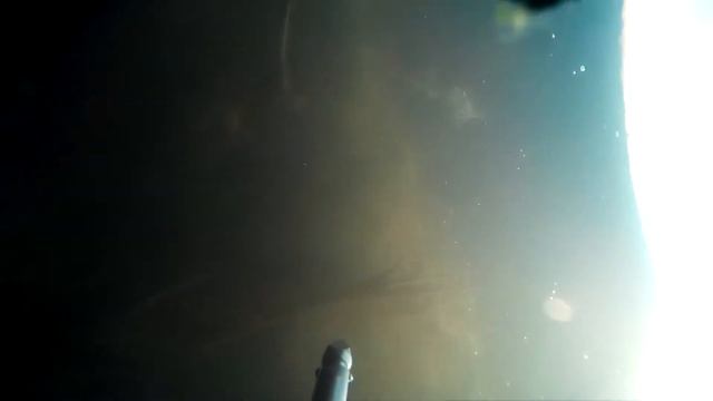 Подводная охота  Пусть приснится мне зимой