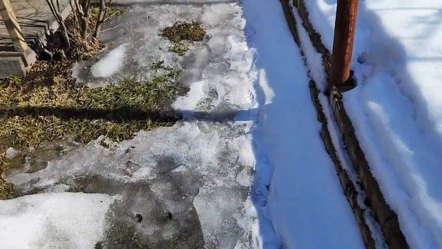 В Сибири начинается Весна! Скоро садовый сезон. 20.03.23.