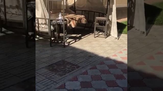 Семья Кайрата Нуртаса смотреть онлайн