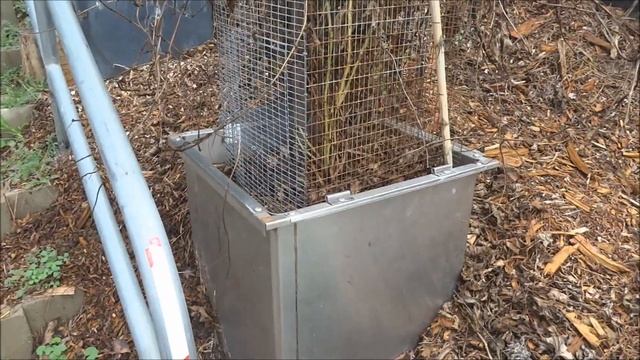 Recycle Dishwasher to Vegetable Garden Growing Peppers & Tomatoes How to Make Free Raised Bed Garde смотреть онлайн