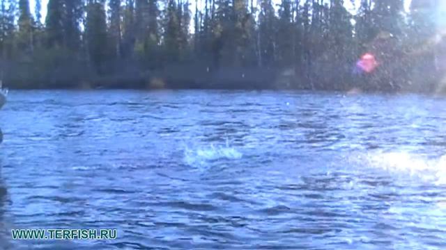 Рыбалка на Кольском. Сёмга. Кольский 2013 год. Пана и Индель. Лагерь ТЕРФИШ смотреть онлайн