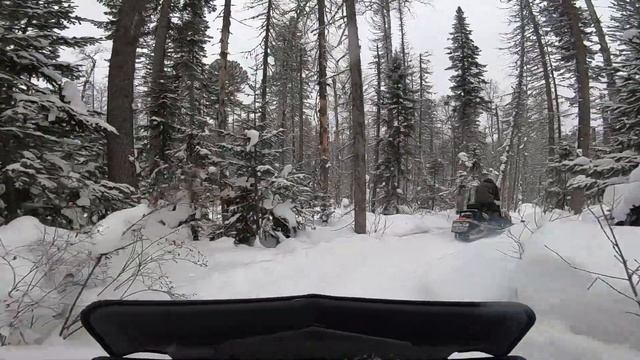 "Сибирские вепри" добивают маршрут МКАД (Минино-Кача-Дивногорск) -- 70км, 6.01.2022 смотреть онлайн