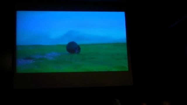 Roman Signer - Ombrelli смотреть онлайн