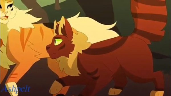[ Warriors Cats ] | Коты Воители | Кленовница | Смотрите до чего меня вы довели