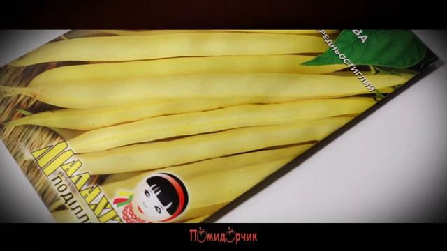 Семена Фасоль Спаржевая Ляура - Помидорчик смотреть онлайн