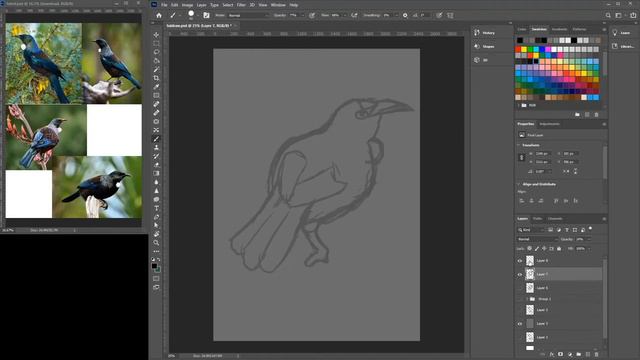 Drawing The Tui Bird смотреть онлайн