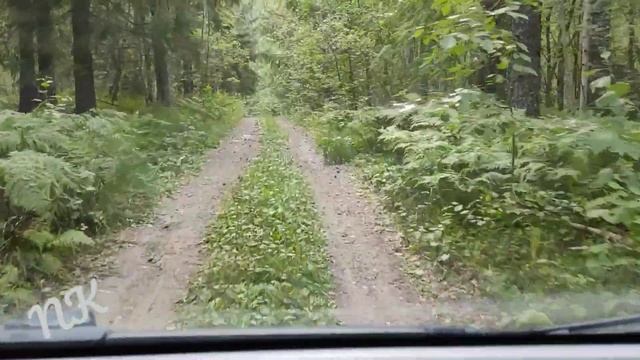 Сколько даёт солнечная система 280 Вт летом в Автодоме. Ответы на вопросы. смотреть онлайн