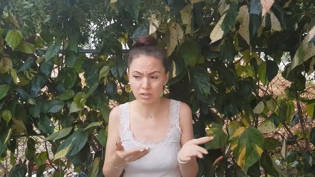 Духовные лицемеры смотреть онлайн