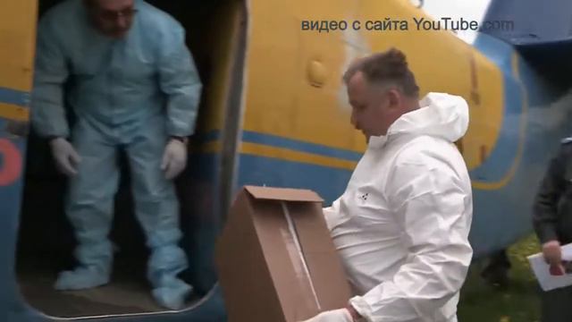 Вакцинация диких животных смотреть онлайн