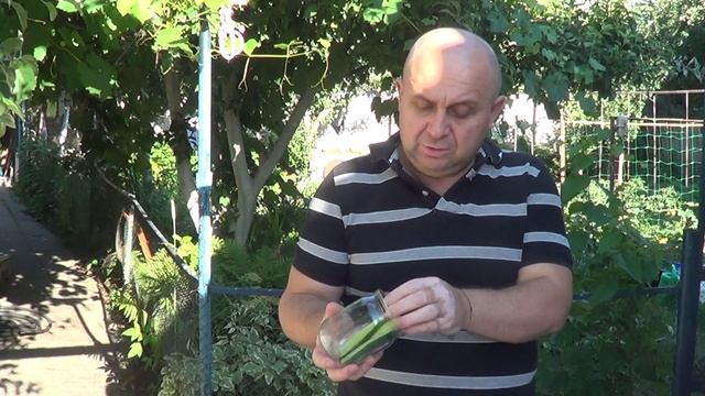 Кулинарные Открытия