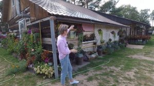 ЛОФОС(Вьющаяся глоксиния).СУПЕР ЛИАНА.ОБЗОР ВЗРОСЛОГО РАСТЕНИЯ.2022