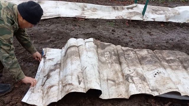 "Сухое" укрытие винограда в зиму. смотреть онлайн