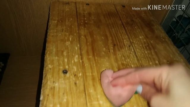 Уборка у шиншилл от А до Я. смотреть онлайн