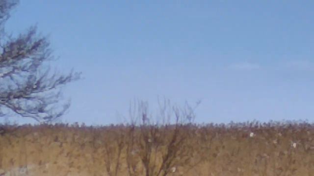 Особенности правления Анны Иоанновны (1730 - 1740). Часть I.