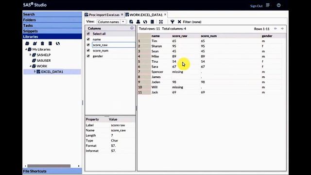 SAS programming: Proc Import: Import Excel data file into SAS смотреть онлайн