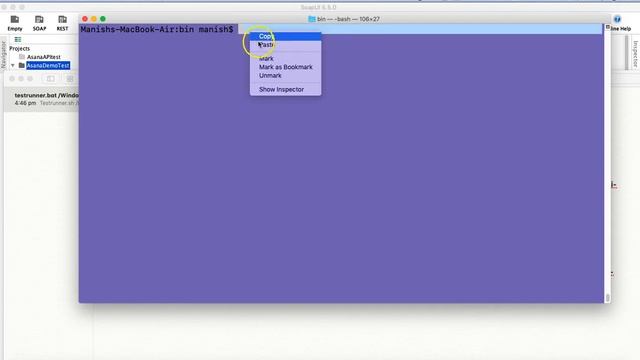 SoapUI Tutorial #30 - Run TestCase, TestSuite, Project from CommandLine смотреть онлайн