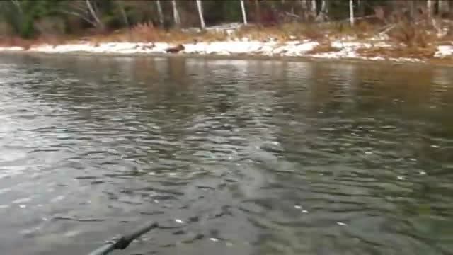 РЫБАЛКА#ЖОРХАРИУСА#ПОРЕКАМСИБИРИ#БОЛОТОХОД# смотреть онлайн