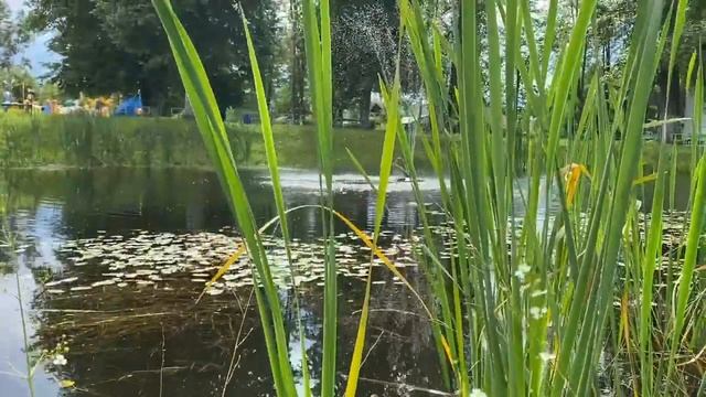 Добро пожаловать в парк Отдыха 