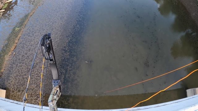 ОХОТА НА КАРПА С ЛУКОМ РАСКАЗЫВАЮ О КОНТРОЛЕ ЗА ОХОТУ И РЫБАЛКУ В США ШТАТ ОРЕГОН. смотреть онлайн