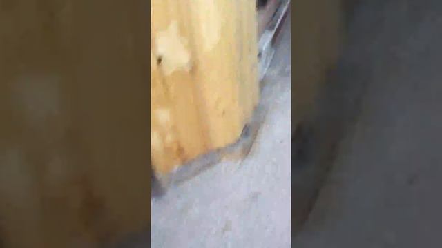 Влог: еду на дачу .Часть 2