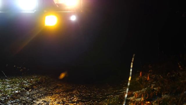 V7E26: Frozen Feats of the Winter Wanderer смотреть онлайн