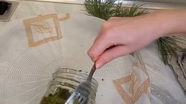 Как ферментировать сосновые иголки дома смотреть онлайн