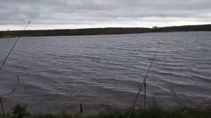 РЫБАЛКА В ЭНГЕЛЬСЕ- НА НОВОМ МЕСТЕ