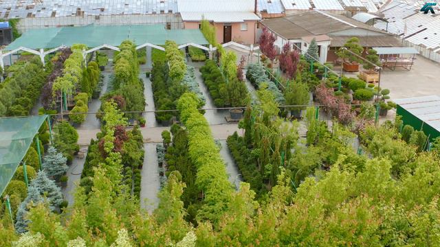 Агро-Флора смотреть онлайн