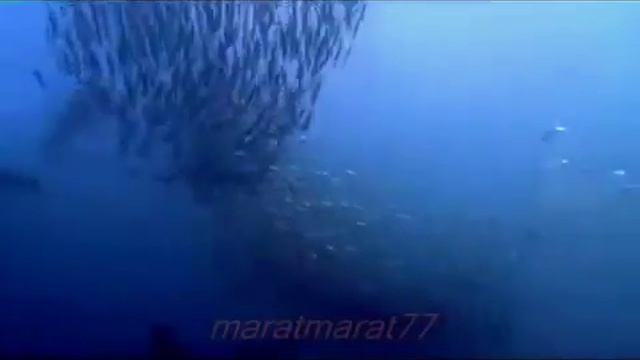 Beautiful music and ocean Красивая музыка и Океан смотреть онлайн