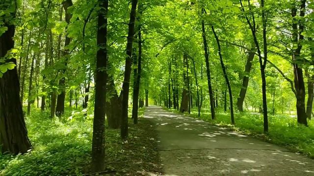 Какулена//"Лидер" дышит в зад сестре// Обзор видео// смотреть онлайн