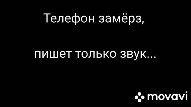 Сложный отел коровы. Крольчатник. смотреть онлайн