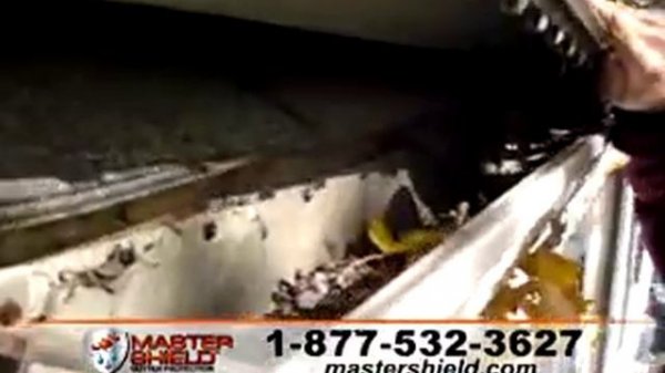 Gutter Guard | Revolutionary Gutter Guard Ends Gutter Cleaning