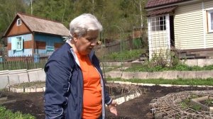 Голова садовая - АКТУАЛЬНО! Как ухаживать за смородиной