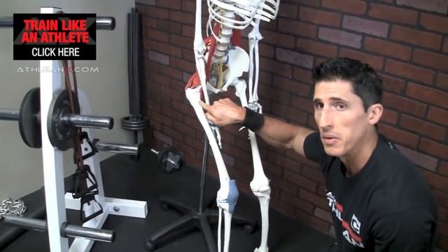 Почему Колени Не Виновники Боли На и После Тренировки | Джефф Кавальер смотреть онлайн